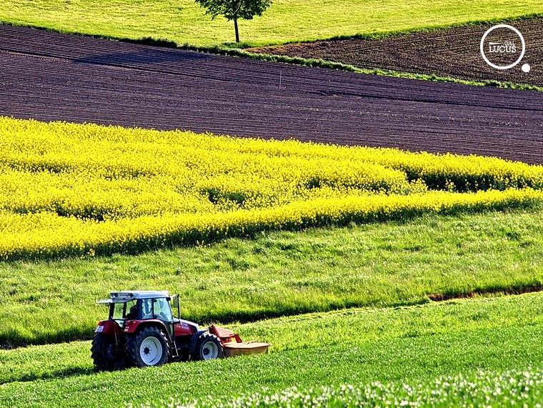 Banca nazionale delle terre agricole, successo tra gli under 35