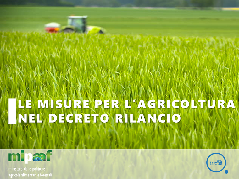 Le misure per l’agricoltura nel Decreto Rilancio