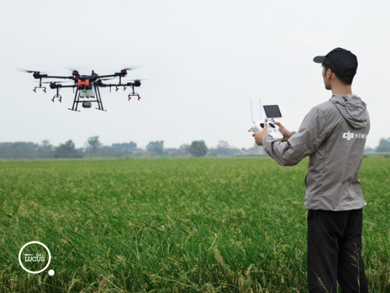 E-crops: un nuovo progetto PON al servizio dell’agricoltura digitale sostenibile