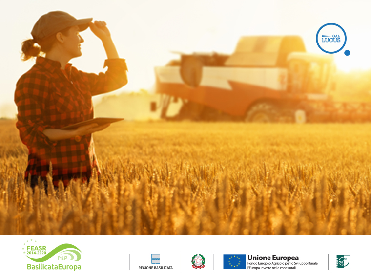 DL sostegni bis: via libera in cdm a circa 2 miliardi di euro e semplificazioni per il settore agroalimentare