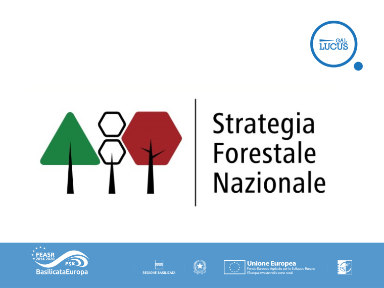 STRATEGIA FORESTALE NAZIONALE PER IL SETTORE FORESTALE E LE SUE FILIERE