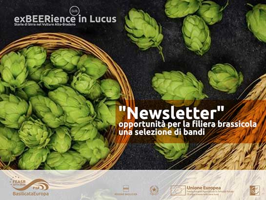 Opportunità per la filiera brassicola – bandi Agosto 2023