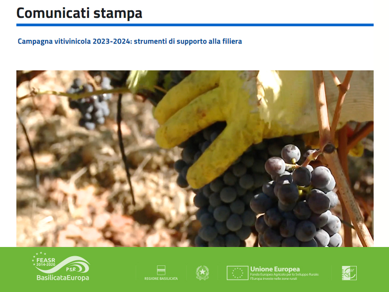Campagna vitivinicola 2023-2024: strumenti di supporto alla filiera 